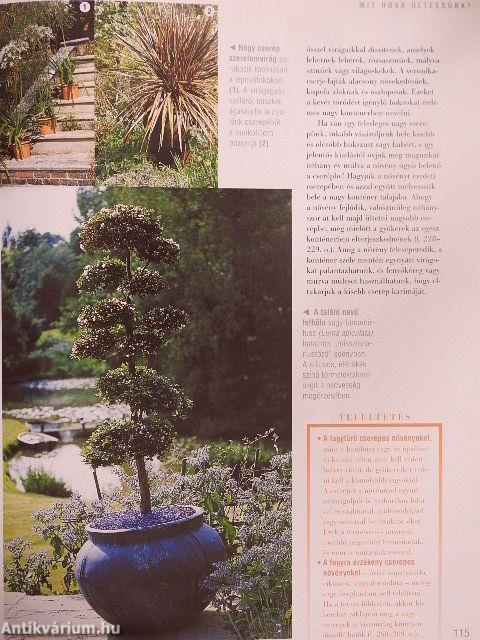 Kertészkedjünk balkonon, teraszon!