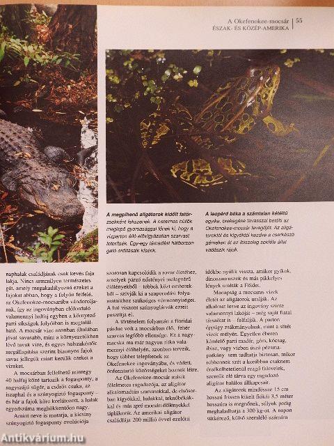 Vadregényes tájakon