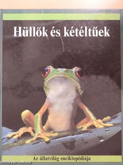 Hüllők és kétéltűek