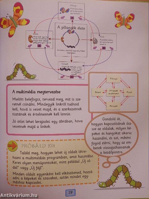E-mailek és multimédiás üzenetek