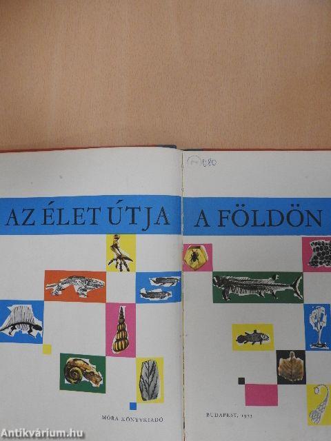 Az élet útja a Földön