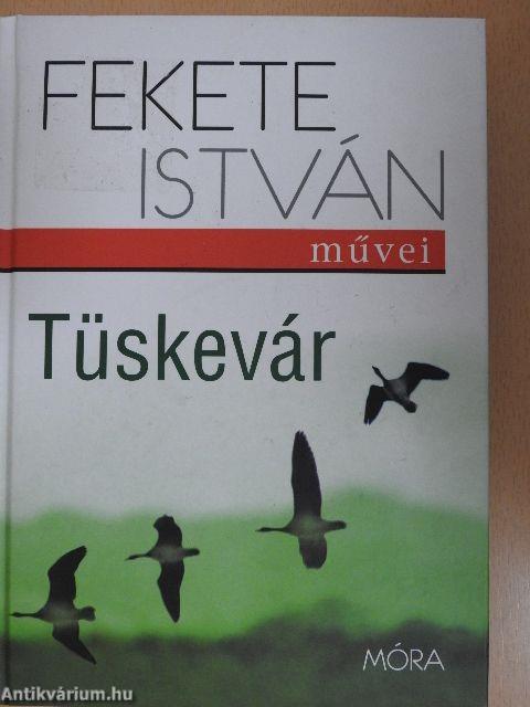 Tüskevár