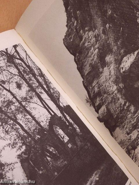 Természeti környezetünk 4.