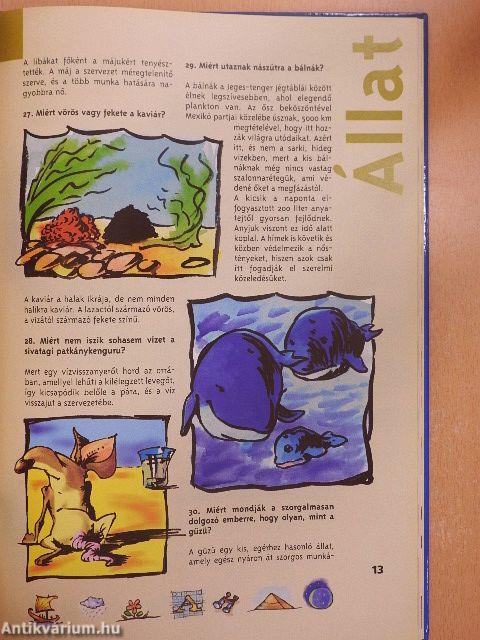 Titkok és rejtélyek