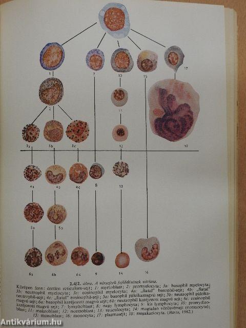 Orvosi élettan 1-2.