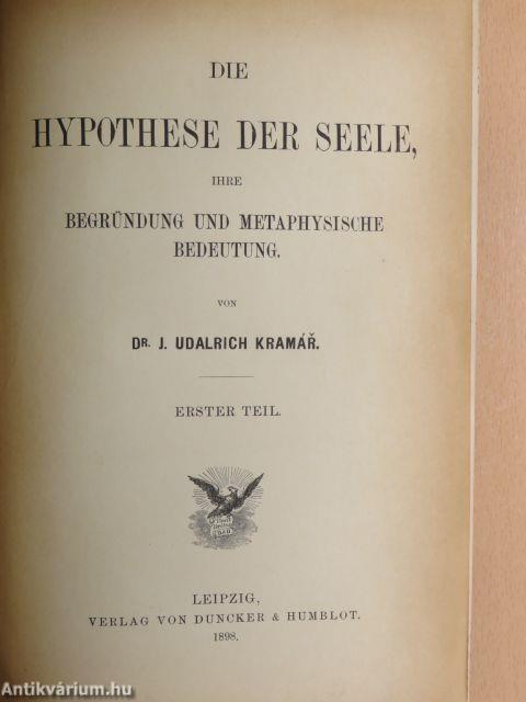 Die Hypothese der Seele I.