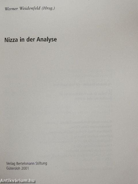 Nizza in der Analyse