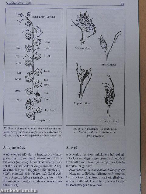 Szőlősgazdák könyve