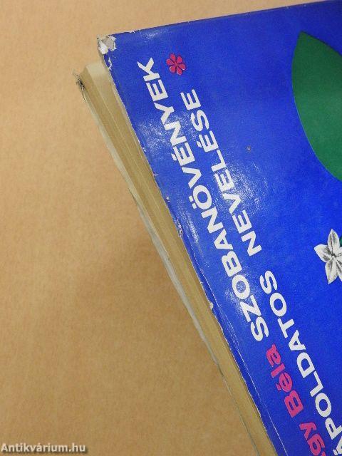 Szobanövények tápoldatos nevelése