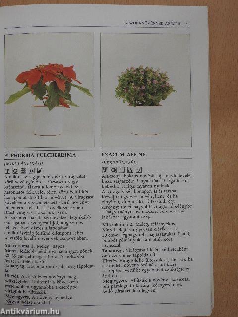 Növények a lakásban