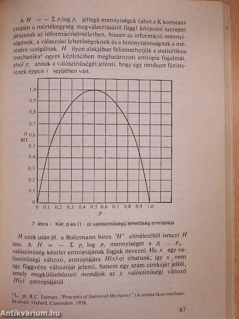 A kommunikáció matematikai elmélete