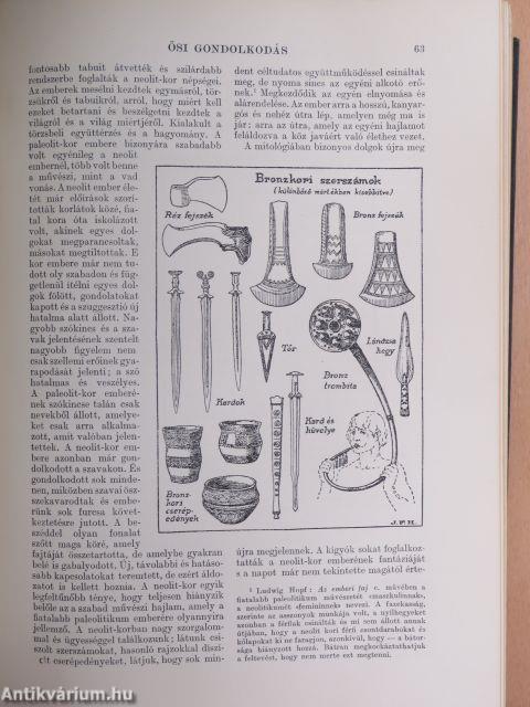 A világtörténet alapvonalai