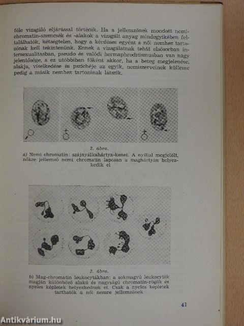 A gyakorló orvos nőgyógyászati endocrinologiája