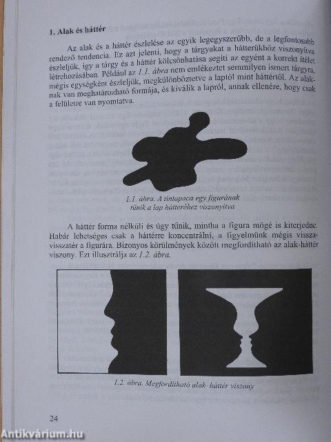 Fogyasztói magatartás