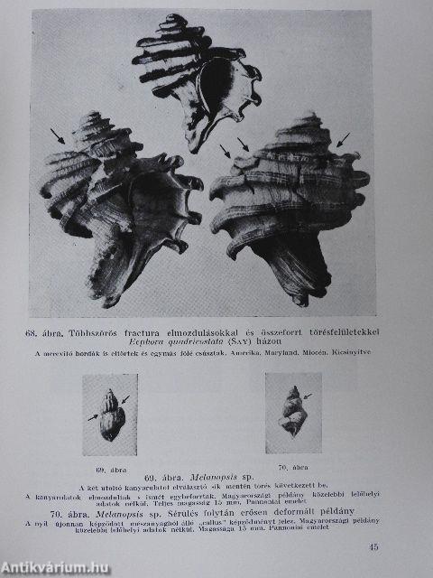 Palaeopathologia I.