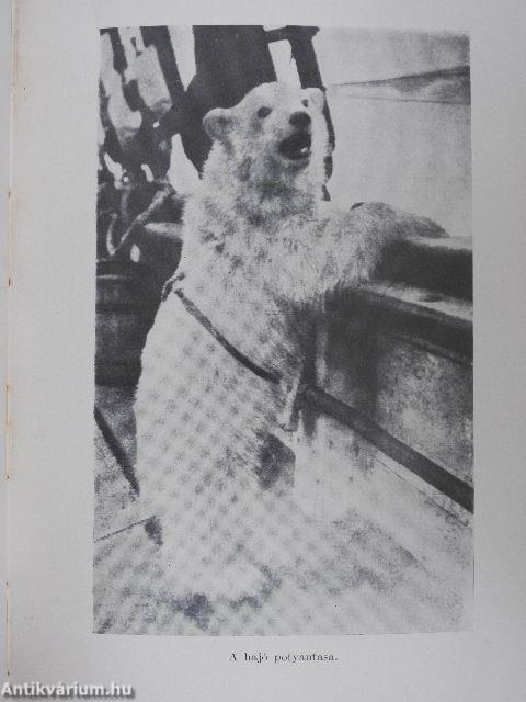 A szerencsés expedició