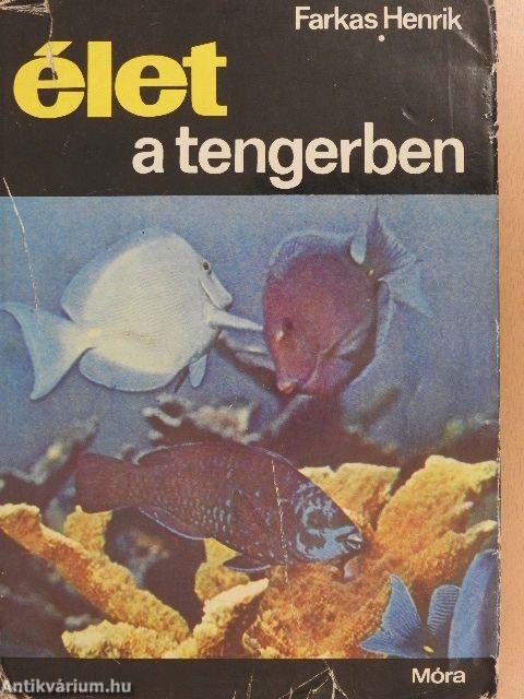 Élet a tengerben