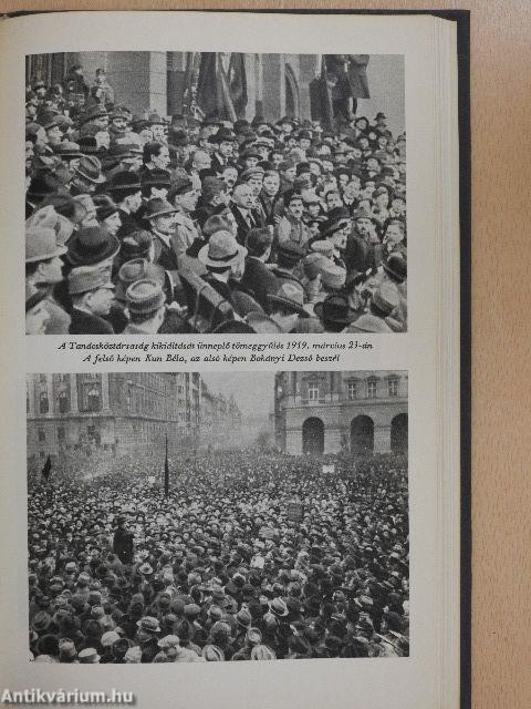 A magyar forradalmi munkásmozgalom története I-II.