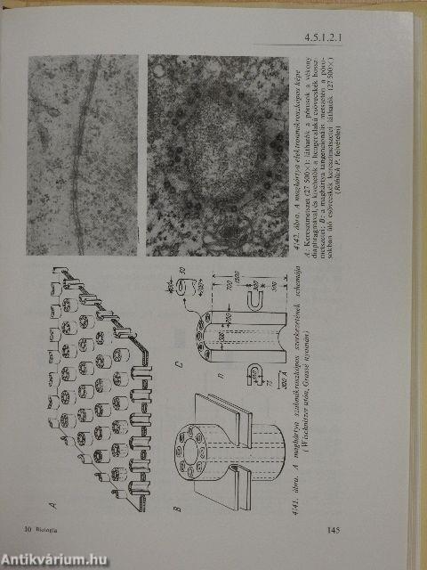 Biologia