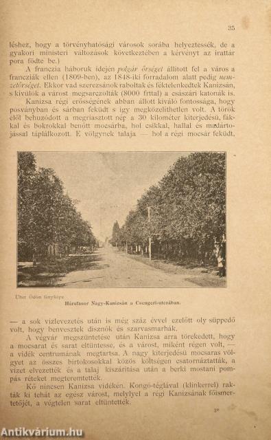 Zalavármegyei évkönyv a milleniumra