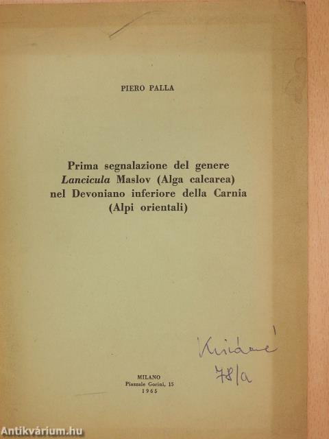 Prima segnalazione del genere Lancicula Maslov (Alga calcarea) nel Devoniano inferiore della Carnia (Alpi orientali) (dedikált példány)