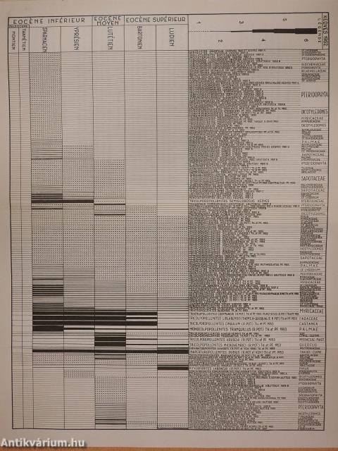 Stratigraphie Palynologiwue des Couches Éocénes de Hongrie (dedikált példány)