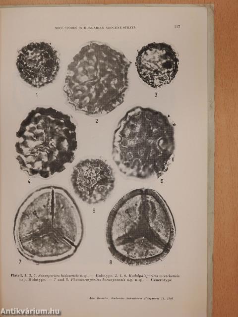 Moss Spores in Hungarian Neogene Strata (dedikált példány)