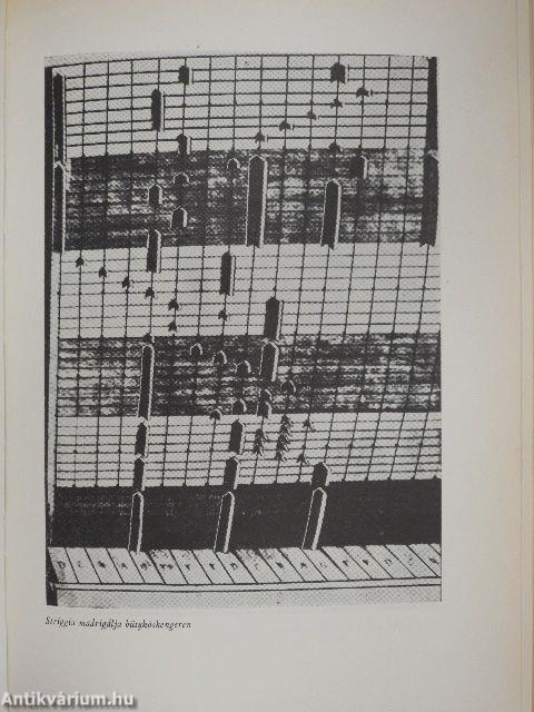 Muzsikáló szerkezetek története