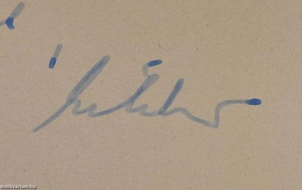 Nagyipollis, a new pollen Fgen. from the Hungarian lower eocene (dedikált példány)