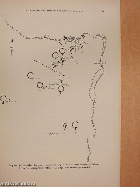 Complexes sporo-polliniques des couches tertiaires inférieures du sondage V. NO. 133 de Várpalota (Rapport préalable) (dedikált példány)