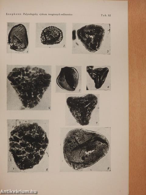 Palynologicky vyskum neogénnych sedimentov z okolia sturova, novych zámkov a povazia (dedikált példány)