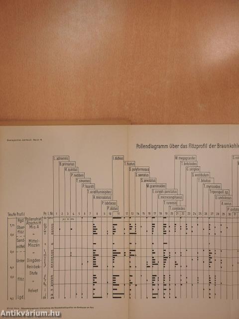 Pollenstartigraphische Untersuchung des Braunkohlen-Flözprofils von Bornhausen am Harz (aláírt példány)