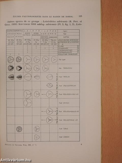 Études palynologiques dans le Bassin de Dorog II.  (dedikált példány)