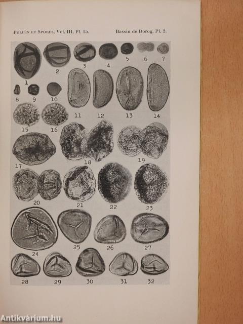 Études palynologiques dans le Bassin de Dorog II.  (dedikált példány)