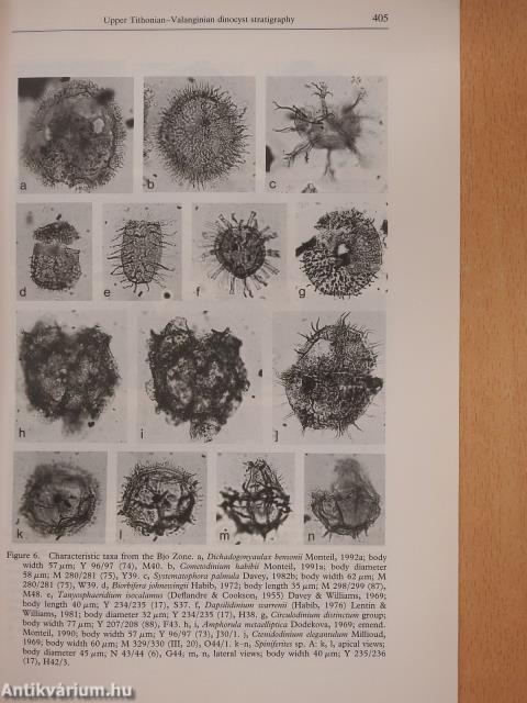 Upper Tithonian-Valanginian (Upper Jurassic-Lower Cretaceous) dinoflagellate cyst stratigraphy of the western Mediterranean (dedikált példány)