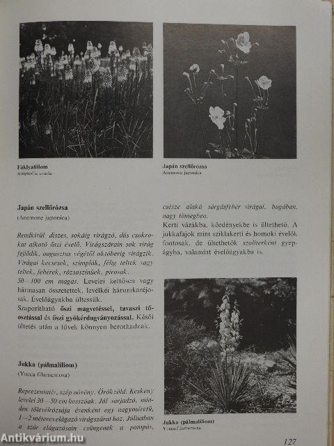 Virágoskert, pihenőkert