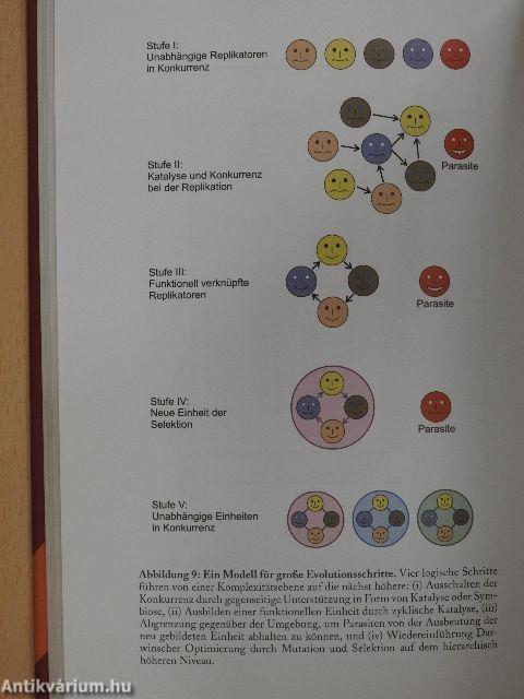 Schöpfung und Evolution