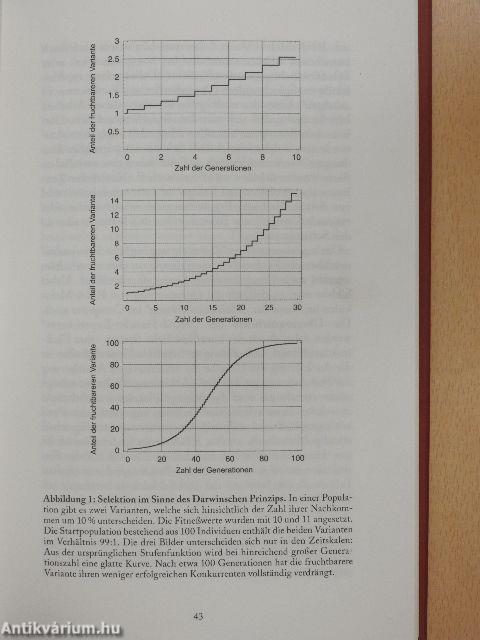 Schöpfung und Evolution