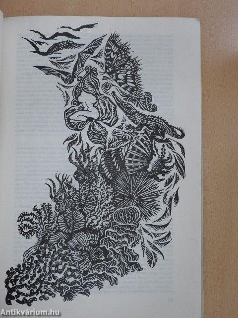 Új Írás 1981. november