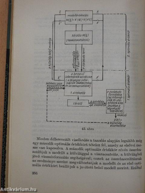 Kibernetika és társadalom