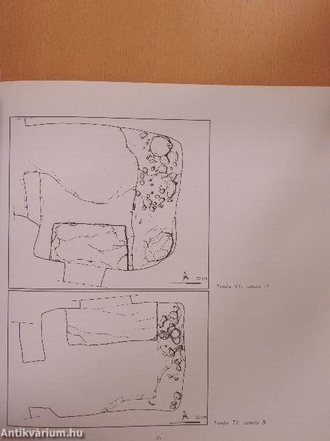 Vulci: scoperte e riscoperte