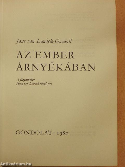 Az ember árnyékában