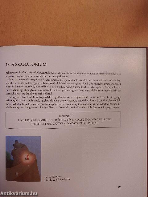 Ha polip szuszog Kolozsvárott II.