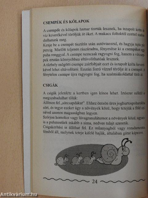 Háztartási praktikák