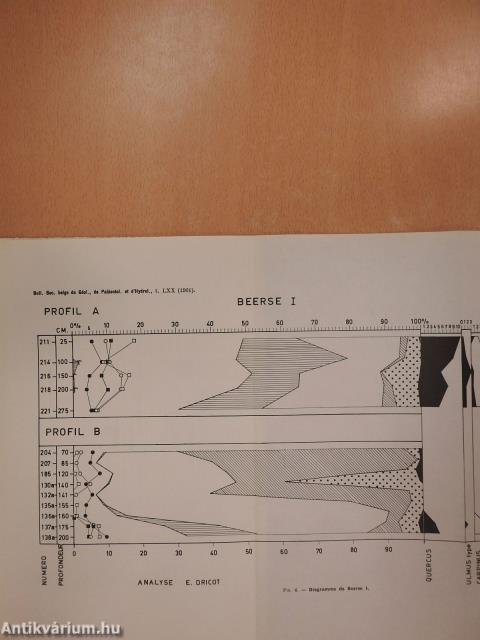 Microstratigraphie des Argiles de Campine (dedikált példány)