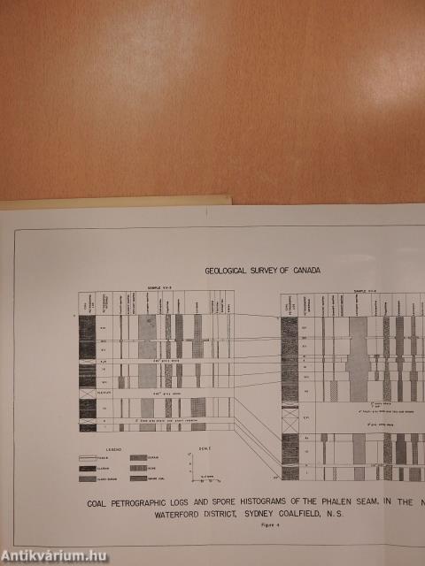 A Preliminary Study of the Spores from the Phalen Seam in the New Waterford District, Sydney Coalfield, Nova Scotia (dedikált példány)