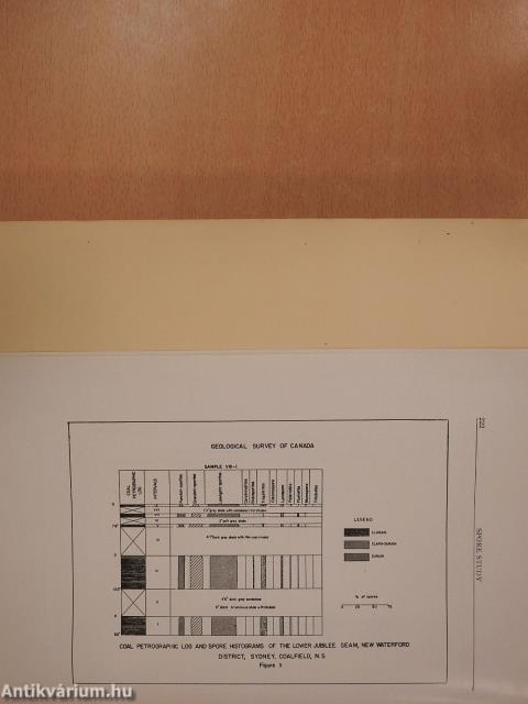 A Preliminary Study of the Spores from the Phalen Seam in the New Waterford District, Sydney Coalfield, Nova Scotia (dedikált példány)