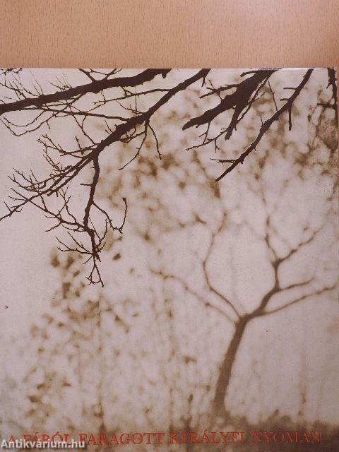 A fából faragott királyfi nyomán