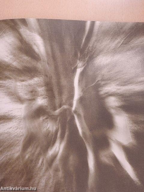 A fából faragott királyfi nyomán