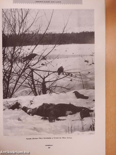 A fénykép varázsa 1839-1989